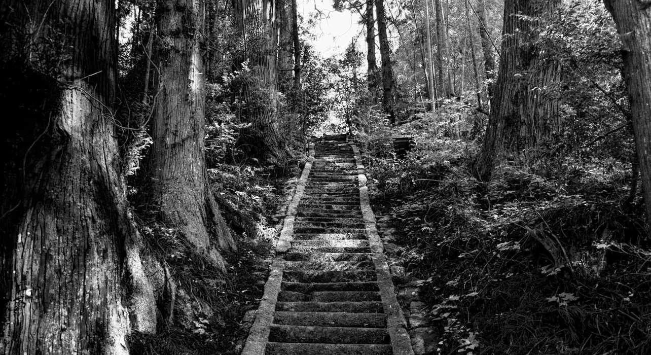 Treppen durch Wald